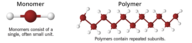 Foam Replacement - Green Science Policy Institute